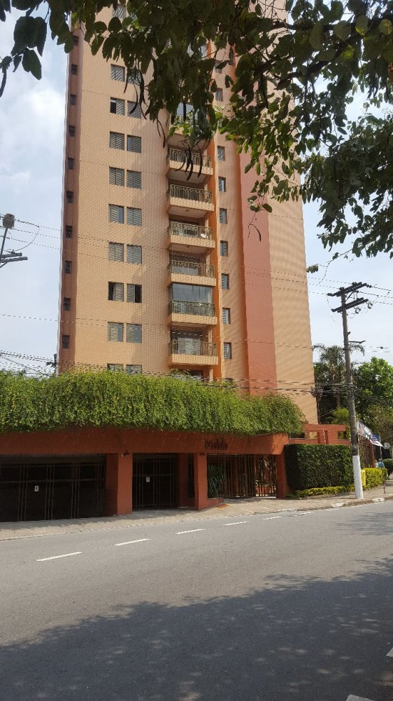 Apartamento - Aluguel - Vila Bastos - Santo Andr - SP